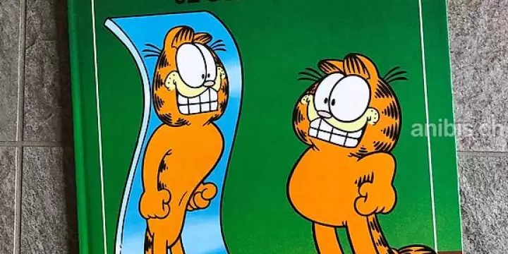 Garfield je suis beau - Jim Davis