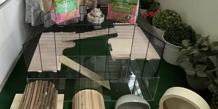 Kit complet pour Hamster