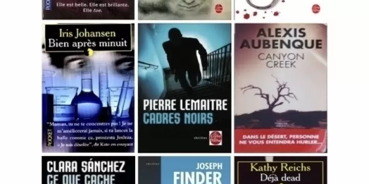 Romans,policiers,thrillers